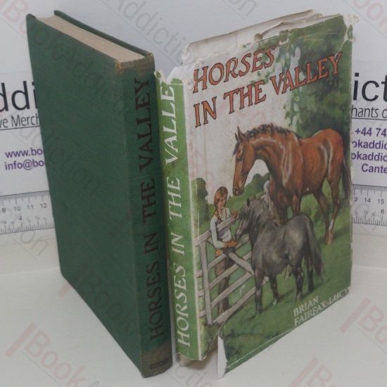 Picture of Horses in the Valley