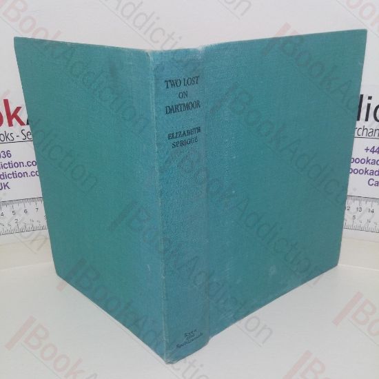 Picture of Two Lost on Dartmoor