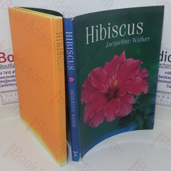 Picture of Hibiscus