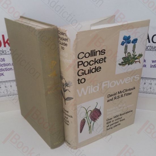 Picture of Collins Pocket Guide to Wild Flowers