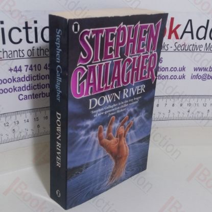 Picture of Down River (Signed)