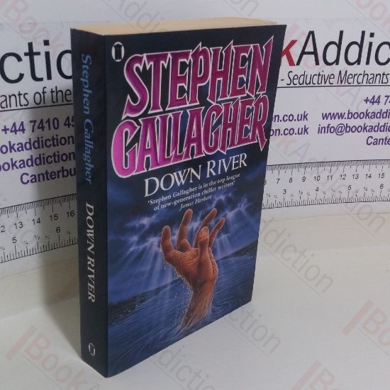 Picture of Down River (Signed)