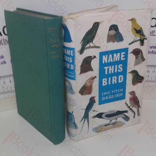 Picture of Name This Bird