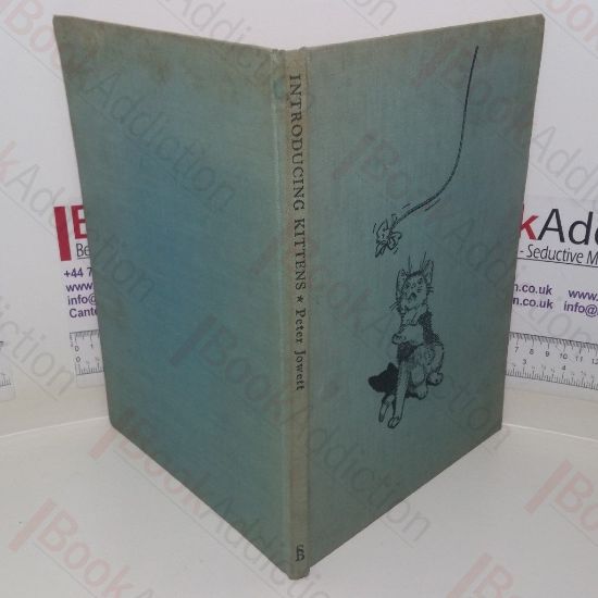 Picture of Introducing Kittens