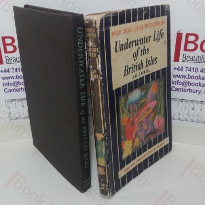 Picture of Underwater Life of the British Isles (Ward Lock's Junior Field Guide, No. 4)