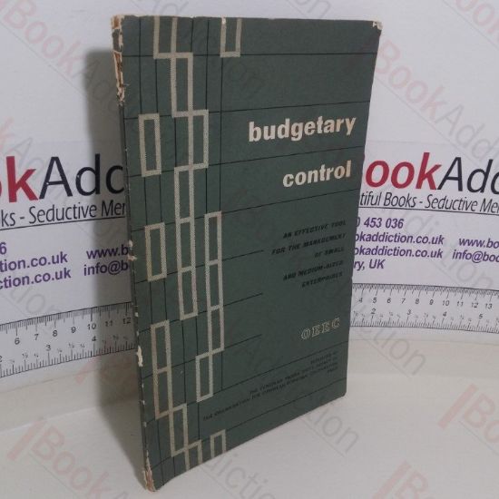 Picture of Budgetary Control: An Effective Tool for the Management of Small and Medium-Sized Enterprises (Project No. 172)