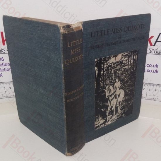 Picture of Little Miss Quixote