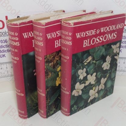 Picture of Wayside and Woodland Blossoms: A Guide to British Wild Flowers (Series I, II and III)