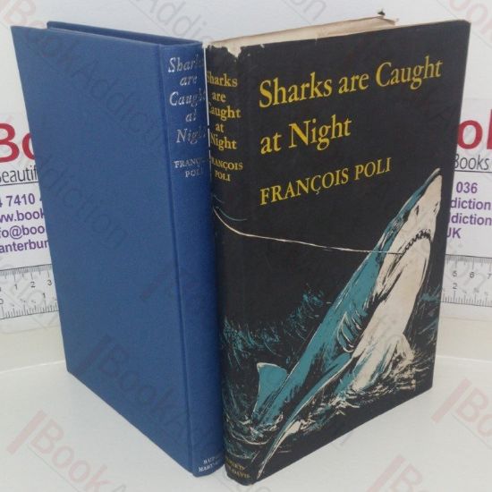 Picture of Sharks Are Caught at Night