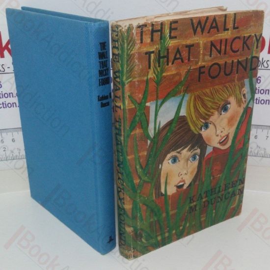 Picture of The Wall That Nicky Found