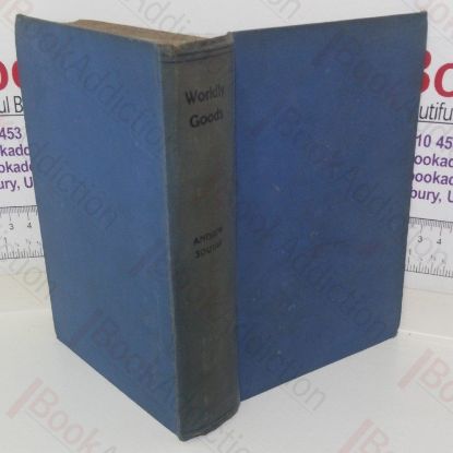 Picture of Worldly Goods