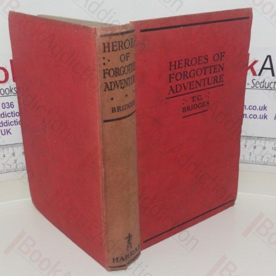 Picture of Heroes of Forgotten Adventure