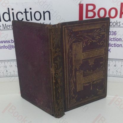 Picture of Unexpected Pleasures, Or, Left Alone in the Holidays