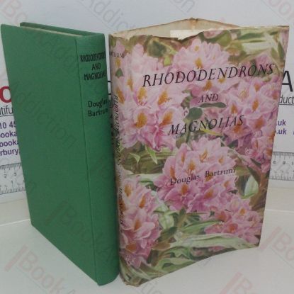 Picture of Rhododendrons and Magnolias