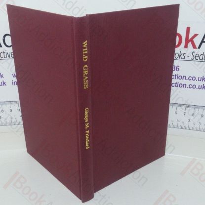 Picture of Wild Grass