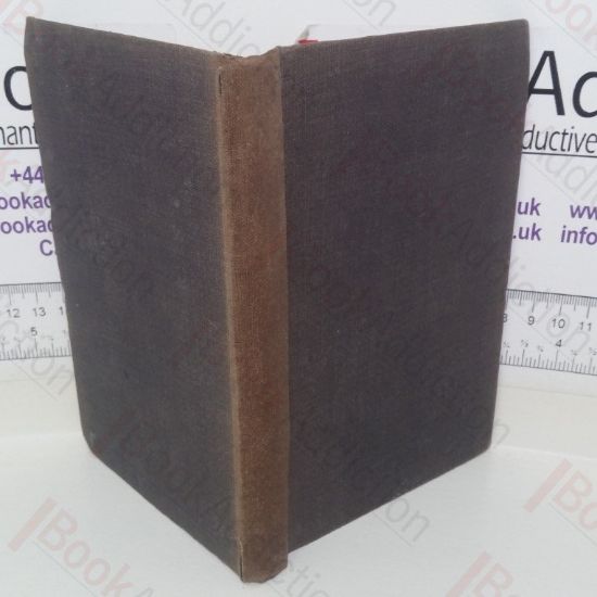 Picture of Twenty-Five Village Sermons