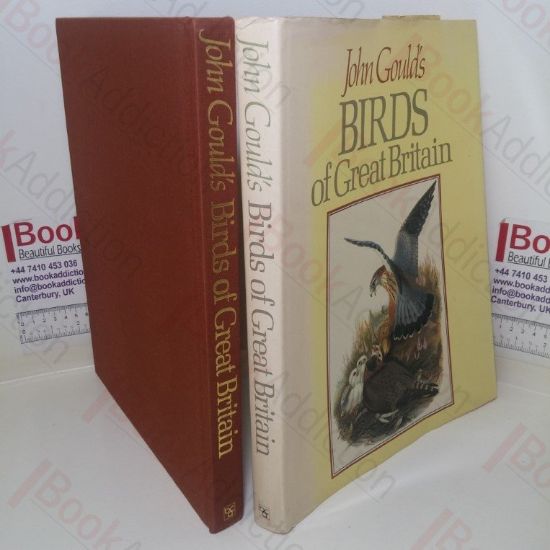 Picture of John Gould's Birds of Great Britain