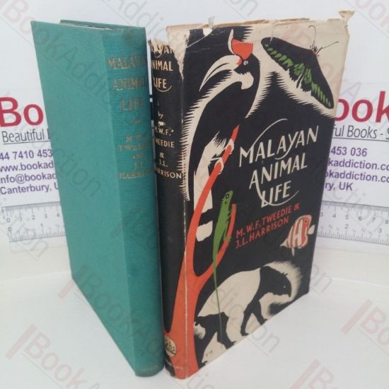 Picture of Malayan Animal Life