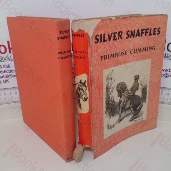 Picture of Silver Snaffles