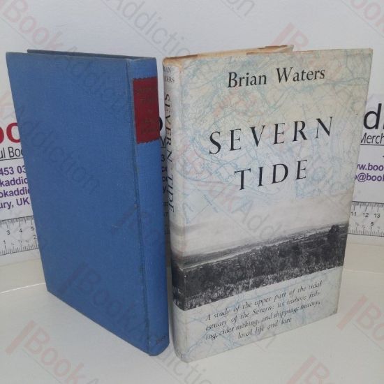 Picture of Severn Tide