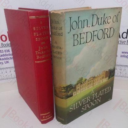 Picture of A Silver-plated Spoon