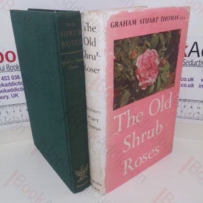 Picture of Old Shrub Roses