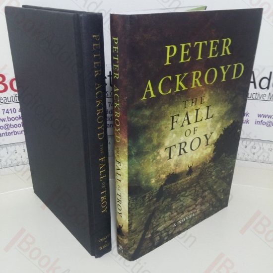 Picture of The Fall of Troy: A Novel