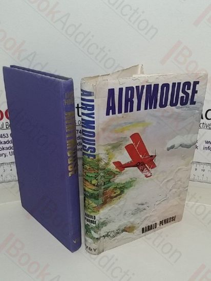 Picture of Airymouse