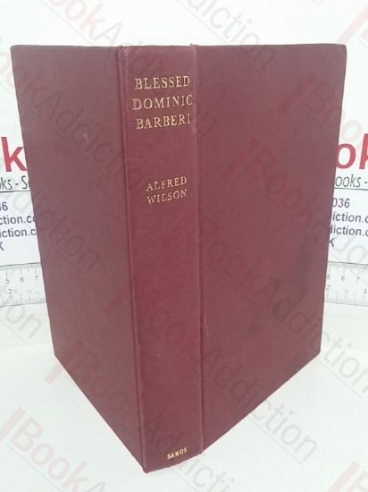 Picture of Blessed Dominic Barberi: Supernaturalized Briton