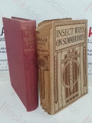 Picture of Insect Ways on Summer Days: In Garden, Forest, Field, and Stream