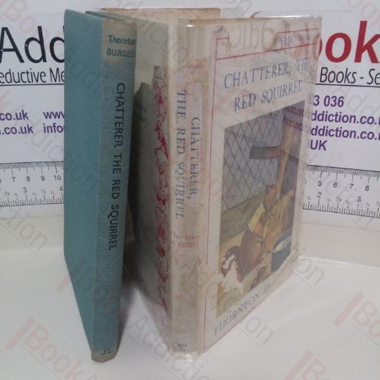 Picture of Chatterer, The Red Squirrel (Bedtime Story-books series)