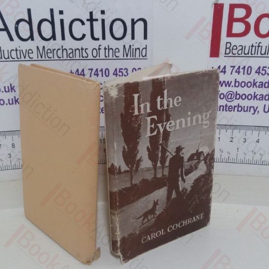 Picture of In the Evening