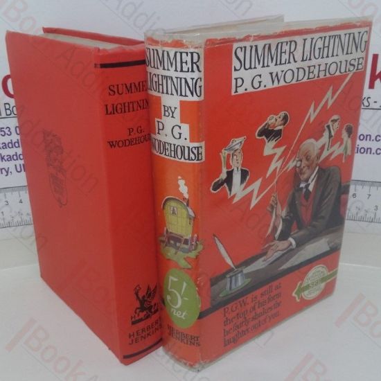 Picture of Summer Lightning