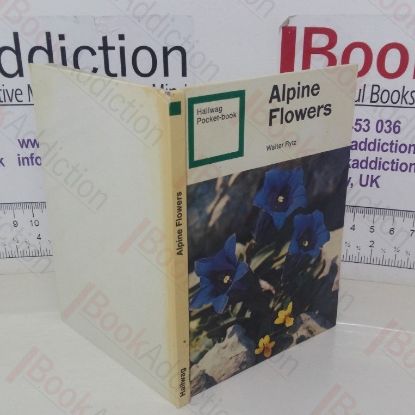 Picture of Alpine Flowers (Hallway Pocket Book)
