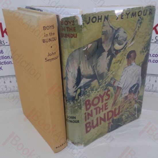 Picture of Boys in the Bundu