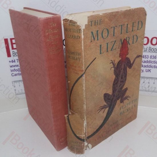 Picture of The Mottled Lizard