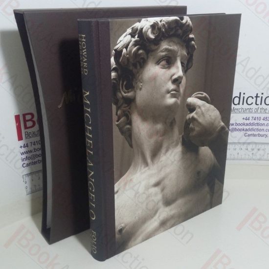 Picture of Michaelangelo