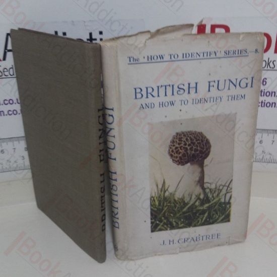 Picture of British Fungi and How to Identify Them (The 'How to Identify' series, No. 8)