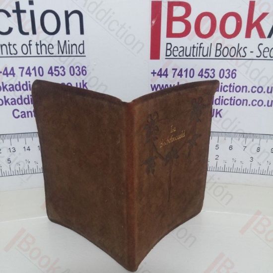 Picture of Selections from Rochefoucauld