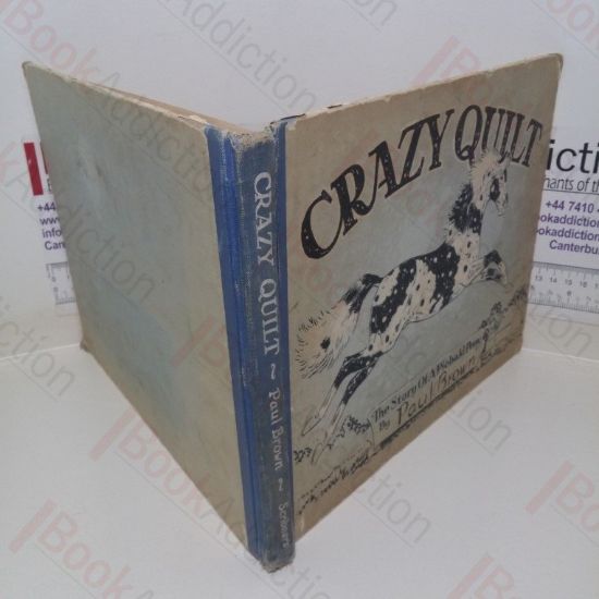 Picture of Crazy Quilt: The Story of a Piebald Pony