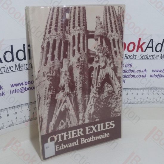 Picture of Other Exiles