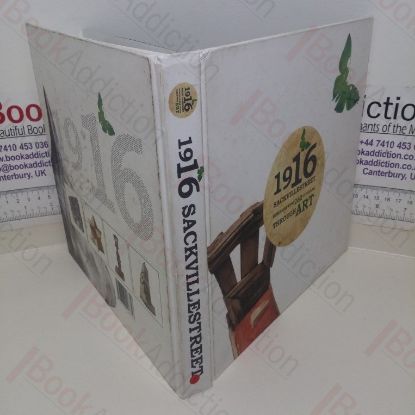 Picture of 1916 Sackville Street Art Project: Remembering 262 Civilians Through Art