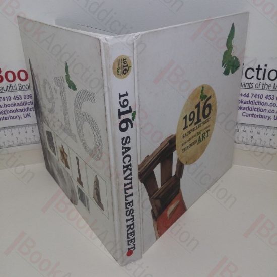 Picture of 1916 Sackville Street Art Project: Remembering 262 Civilians Through Art