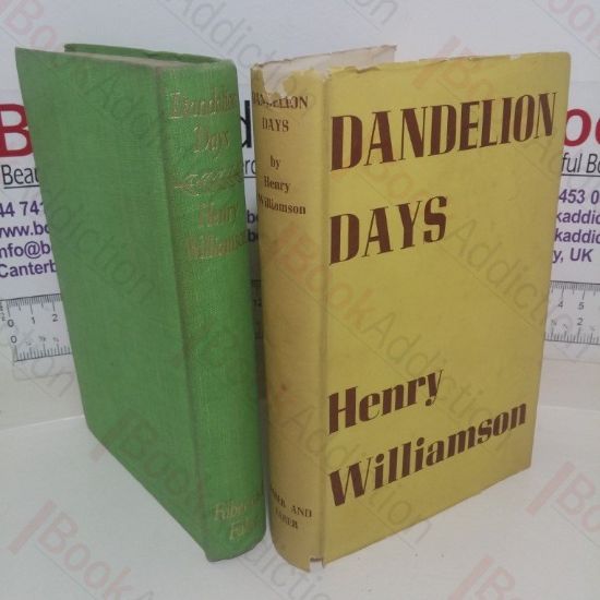 Picture of Dandelion Days