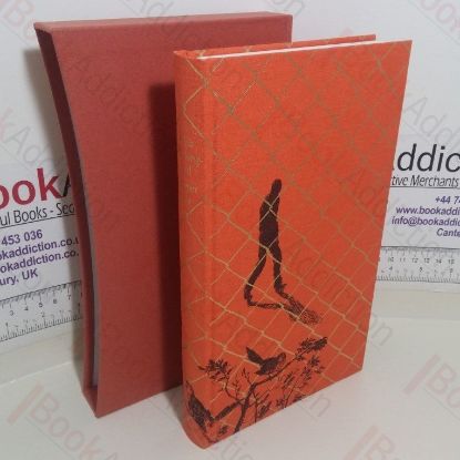 Picture of To Kill a Mocking Bird