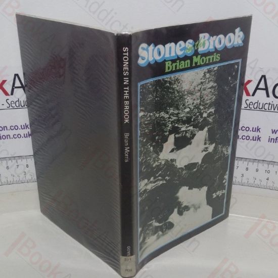 Picture of Stones in the Brook