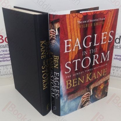 Picture of Eagles in the Storm