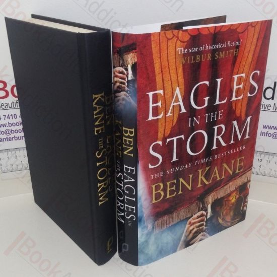 Picture of Eagles in the Storm