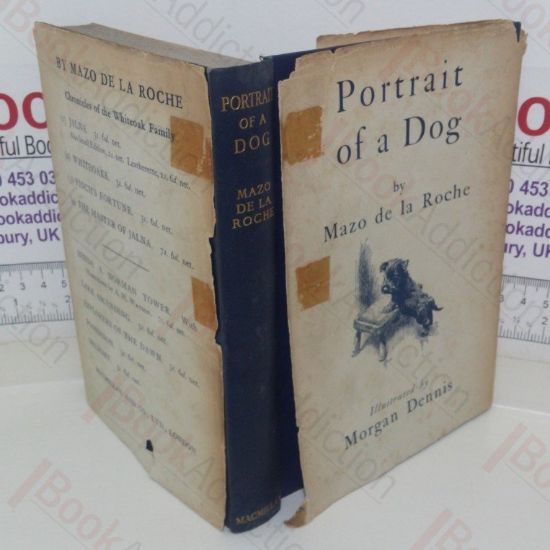 Picture of Portrait of a Dog