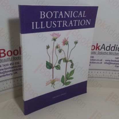 Picture of Botanical Illustration (Signed)